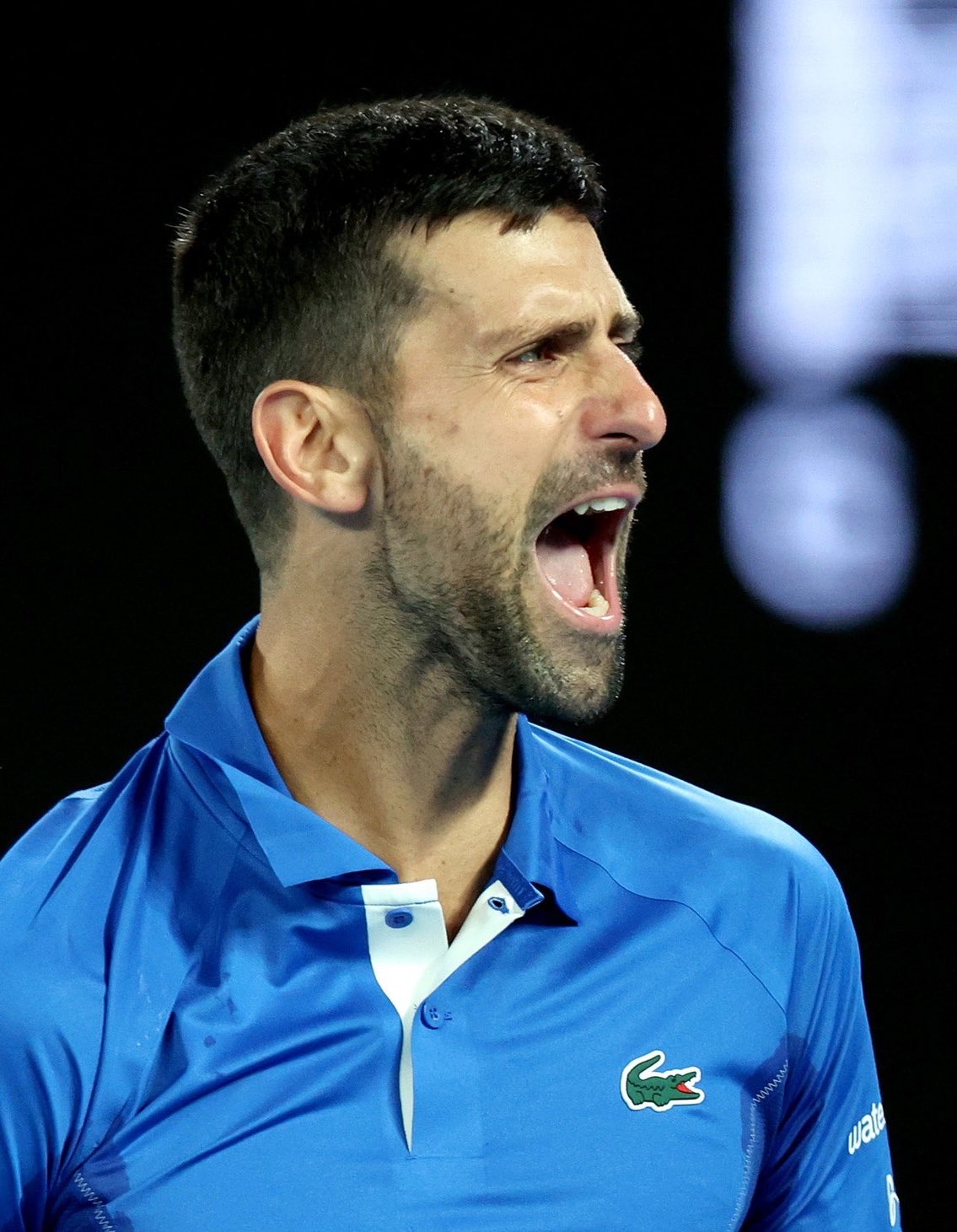 德约科维奇新星晋级下一阶段表现突出，篮网前途光明！的简单介绍